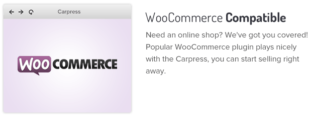 WooCommerce Compatible