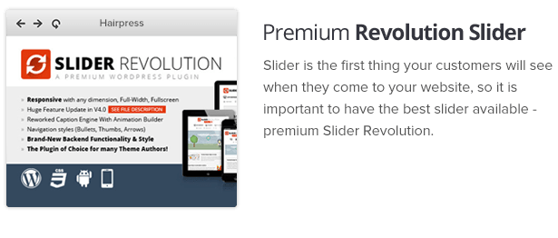 Premium Slider Revolution