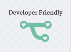 Developer Friendly Theme