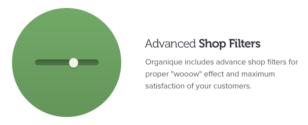 Advanced shop filters