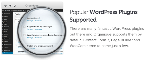 Popular WP plugins supported