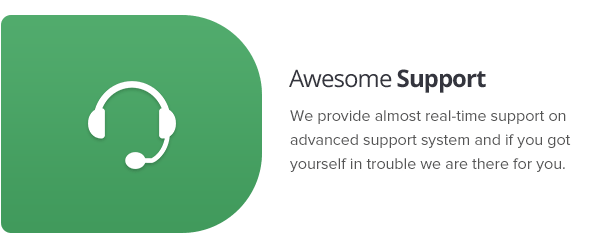 Awesome Support
