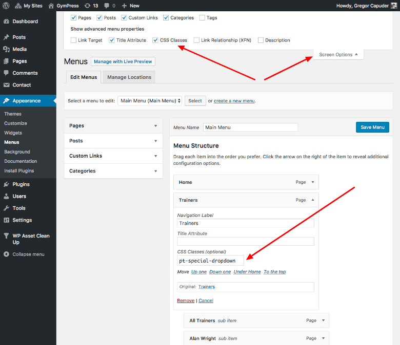 Special dropdown menu class