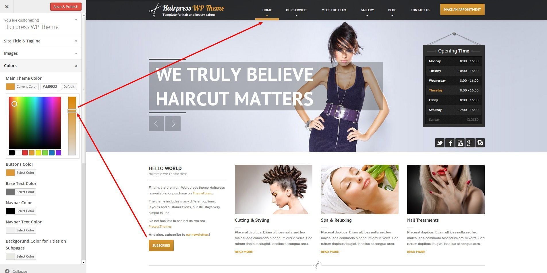 Customize HairPress