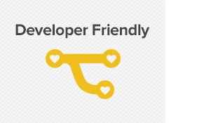 Developer Friendly Theme