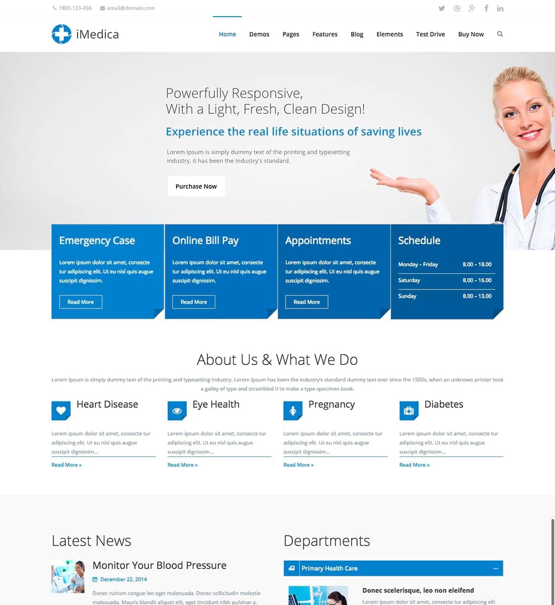 iMedica - Responsive Medical & Health WP Theme