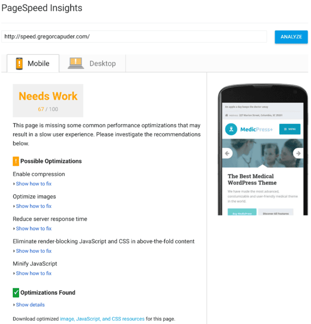 Mobile PageSpeed Insights Results