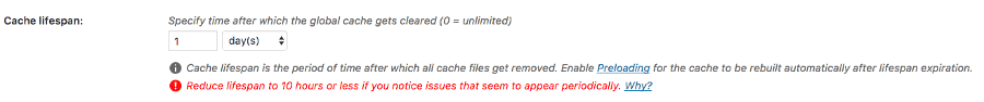 WP Rocket - Cache Lifespan Setting
