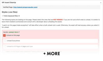 The Ultimate Guide to Page Speed Optimization for WordPress - ProteusThemes