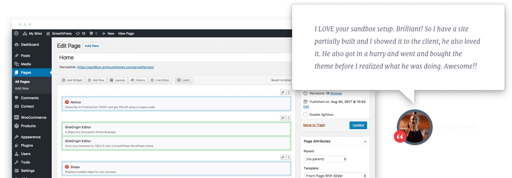 The WordPress admin page with a testimonial on top. The testimonial from Amy Lewis says “I LOVE your sandbox setup. Brilliant! So I have a site partially built and I showed it to the client, he also loved it. He also got in a hurry and went and bought the theme before I realized what he was doing. Awesome!!”.
