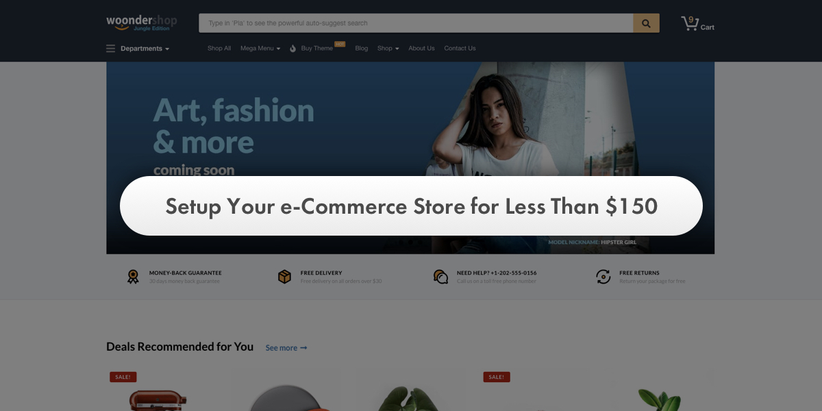 Setup Your e-Commerce Store for Less Than $150