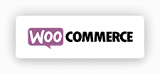 woocommerce theme